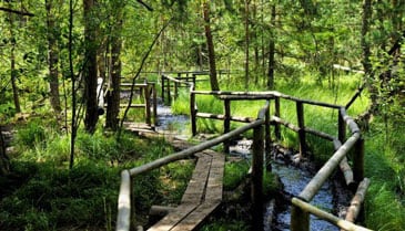 Naturpark Heidenreichstein